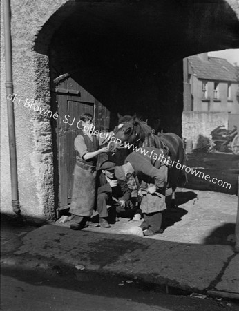 BLACKSMITH SHOEING HORSE